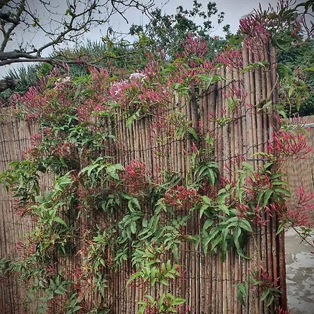 Дом отдыха Casa El Porte Тегесте