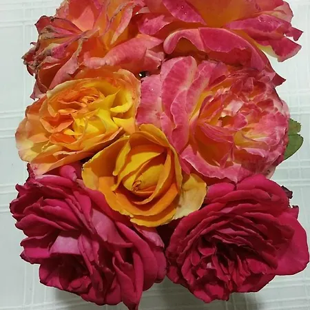 Ferienhaus Casa El Porte