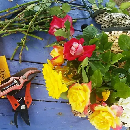 Ferienhaus Casa El Porte