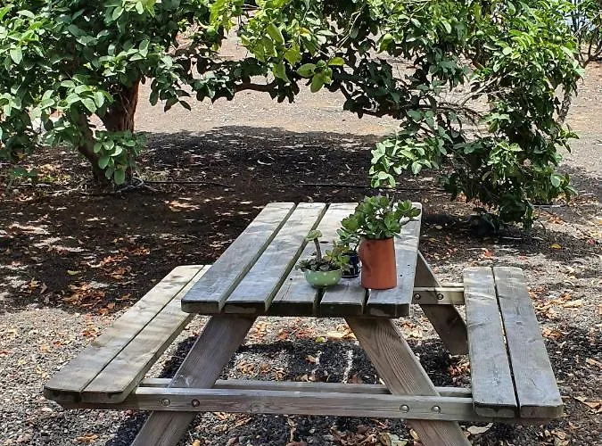 Tatil Evi Casa El Porte *