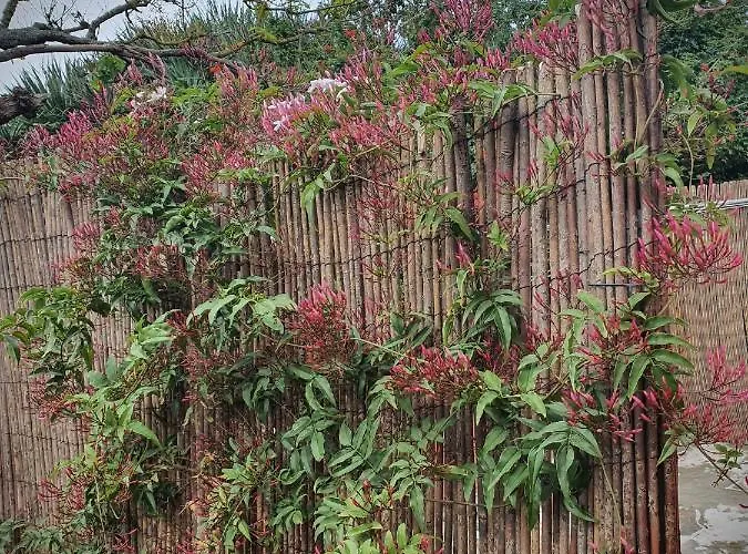 Ferienhaus Casa El Porte Tegueste