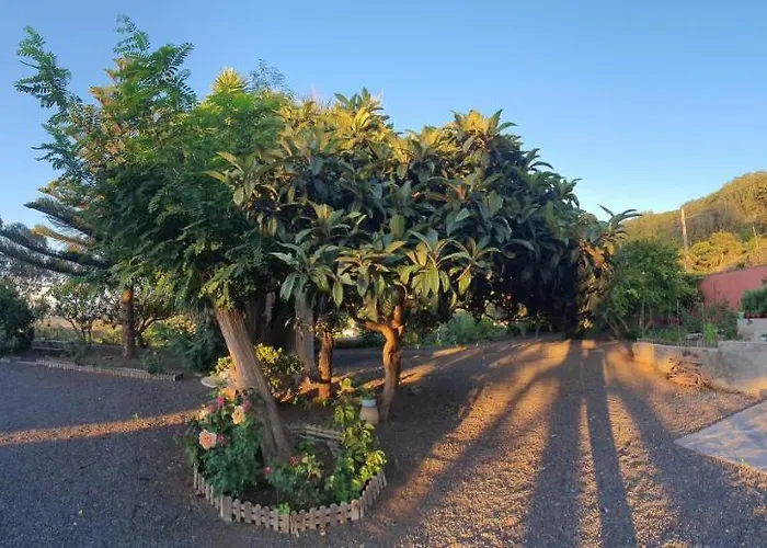 Casa El Porte Tatil Evi *