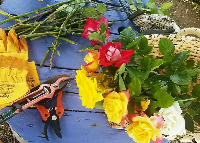 Semesterbostad Casa El Porte