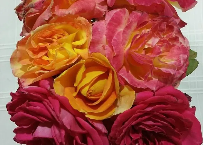 Hébergement de vacances Casa El Porte